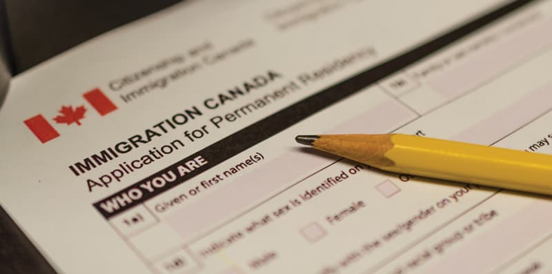 Bridging the gap between international students and meaningful employment